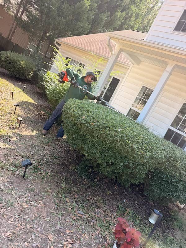 work img (2)